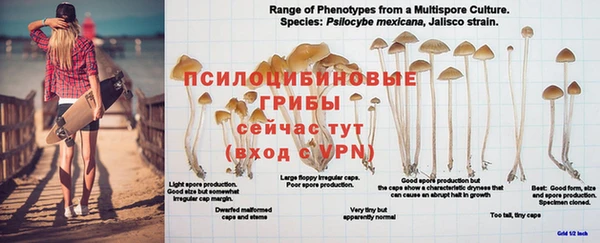 прущая мука Ветлуга