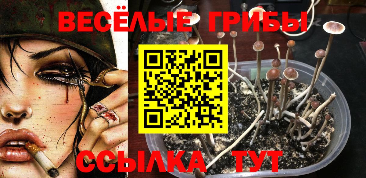 ГАШ Ейск