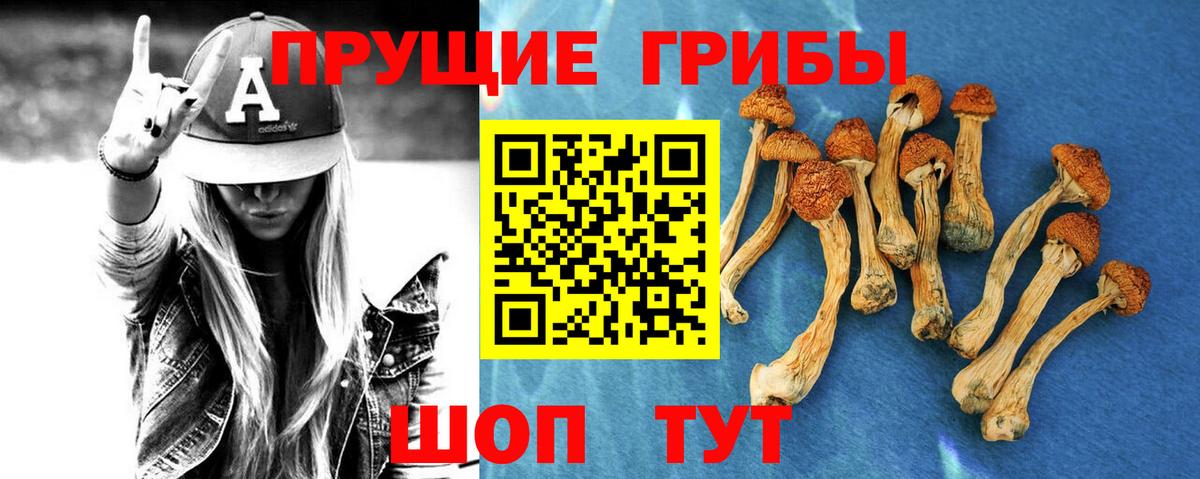 Псилоцибиновые грибы GOLDEN TEACHER  Ейск 