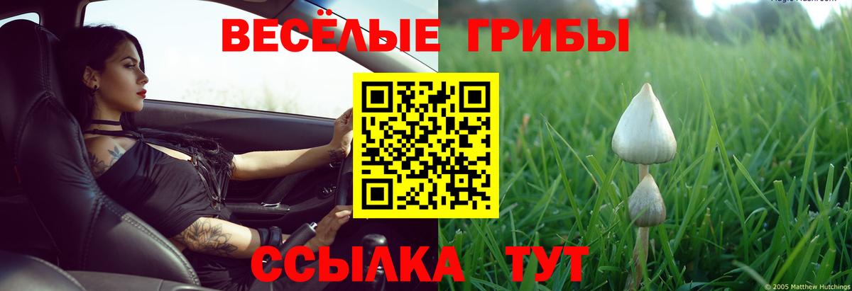 Галлюциногенные грибы ЛСД Ейск